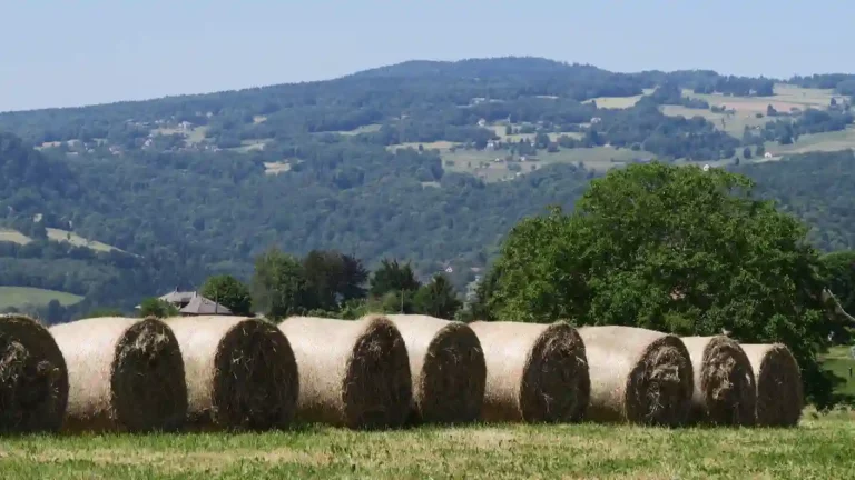 bandeau-2-ruralis-veterinaire-savoie-720p